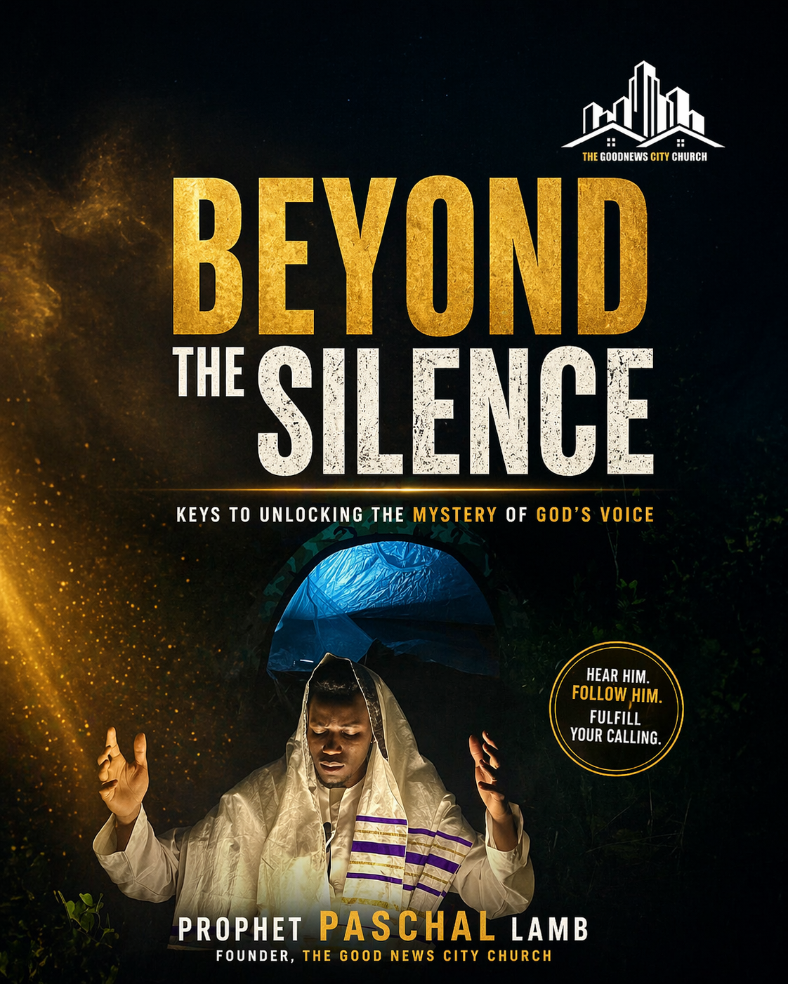 Beyond the Silence book cover